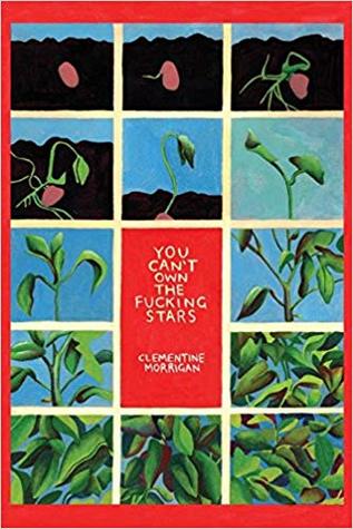 You Can't Own the Fucking Stars: Collected Writings on Trauma, Addiction, Recovery, and Transformation (Paperback)