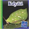 Katydid Katydid