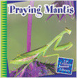 Praying Mantis (Hardcover)