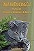 Faust the Dancing Cat Tackl...
