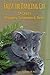 Faust the Dancing Cat Tackles Strippers, Scammers & Bears by Signe Dayhoff