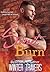Sweet Burn by Winter Travers