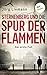 Feuer über Berlin - Sternenbergs erster Fall by Jörg Liemann
