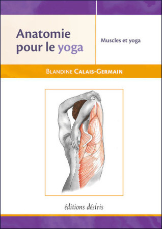 Anatomie pour le yoga: muscles et yoga