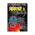鬼吹燈Ⅱ之四：不死地仙