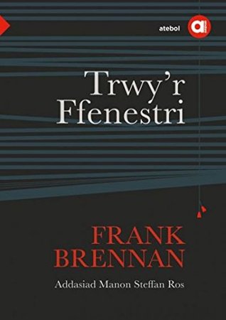 Cyfres Amdani: Trwy'r Ffenestri (Welsh Edition)