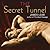 The Secret Tunnel  (Mitch Mitchell Mystery, #2)