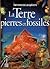 La Terre : pierres et fossiles