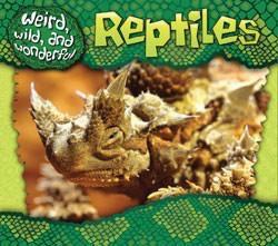 Reptiles