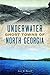 Underwater Ghost Towns of North Georgia (Lost)