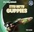 Itty Bitty Guppies