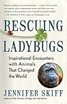 Rescuing Ladybugs...