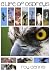 A Life of Ospreys by Roy Dennis