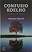 Confusio Koelho by Benjamin Edwards