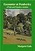 Encounter at Pemberley: a Pride and Prejudice variation