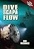 Dive Scapa Flow