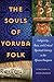 The Souls of Yoruba Folk: Indigeneity, Race, and Critical Spiritual Literacy in the African Diaspora (Black Studies and Critical Thinking Book 70)
