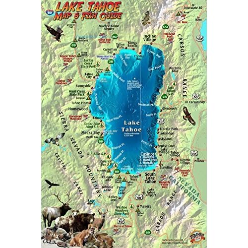 Map To Lake Tahoe Lake Tahoe Map & Fish Guide Franko Maps Laminated Fish Card By Not A Book