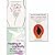 Come as You Are, Mating in Captivity and She Comes First 3 Books Collection Set