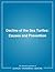 Decline of the Sea Turtles : Causes and Prevention