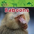 Baboons