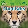 Cheetahs Cheetahs