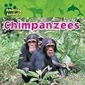 Chimpanzees