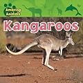 Kangaroos
