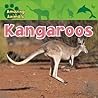 Kangaroos