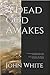 A Dead God Awakes