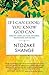 If I Can Cook/You Know God Can by Ntozake Shange