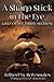 A Sharp Stick in the Eye (and other funny stories)