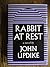Rabbit at Rest