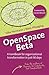 OpenSpace Beta by Silke Hermann