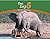 Elephant: The Big 5 and Oth...