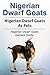 Nigerian Dwarf Goats. Niger...
