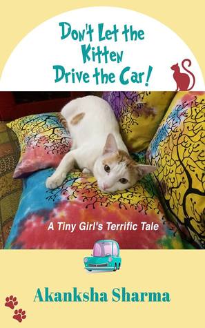 Don’t Let the Kitten Drive the Car!