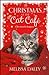 Christmas at the Cat Café