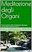 Meditazione degli Organi by Laura Vanni