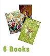 Fantasy Pack: Creative Girls Series, Wellspring of Magic; Things with Wings; the Ordinary Princess; Ella Enchanted; the Two Princess of Bamarre; (An Unofficial Box Set: Grade 3 - 5)