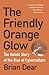 The Friendly Orange Glow: The Untold Story of the Rise of Cyberculture