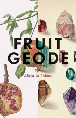 Fruit Geode (Paperback)