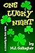 One Lucky Night by M.J. Gallagher