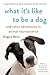 What It's Like to Be a Dog: And Other Adventures in Animal Neuroscience
