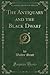 The Antiquary and the Black Dwarf, Vol. 2 (Classic Reprint)