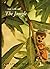The Life of the Jungle (Our Living World of Nature)