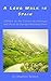 A Long Walk in Spain by Stephen Sexton