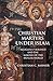 Christian Martyrs under Islam: Religious Violence and the Making of the Muslim World