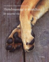 Hundmassage & stretching: låt tassarna vila