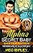 Alpha's Secret Baby (Shifte...